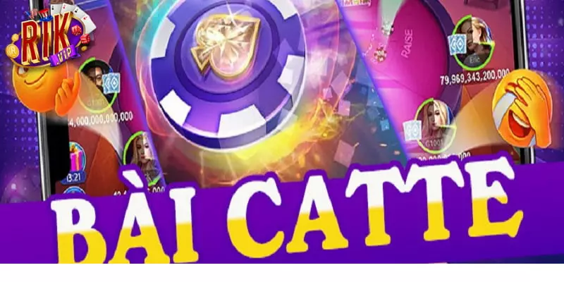 bai catte online 1 Giới thiệu chi tiết về Catte online là gì?