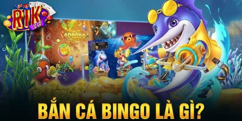 gioi thieu ve ban ca bingo Giới thiệu về bắn cá Bingo Rikvip